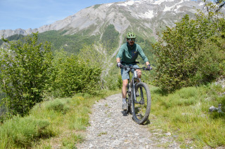 bike-ojdc-light-4048056