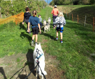 cani-trail3-4046214