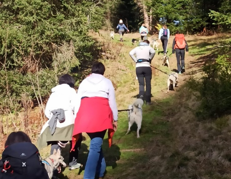 cani-trail2-4046213